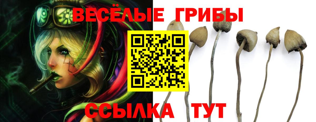 Галлюциногенные грибы Magic Shrooms Самара